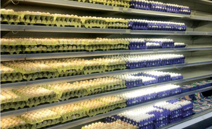 متعاملون في قطاع الدواجن لا يرون مبرراً لارتفاع أسعار البيض 20 % 