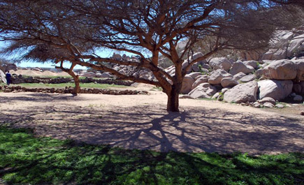 أمانة محافظة الطائف تنفذ 20 مشروعاً لتأهيل الأحياء والمواقع السياحية