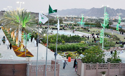 الأجواء الربيعية تضفي البهجة على أشجار ونباتات الزينة بحائل 