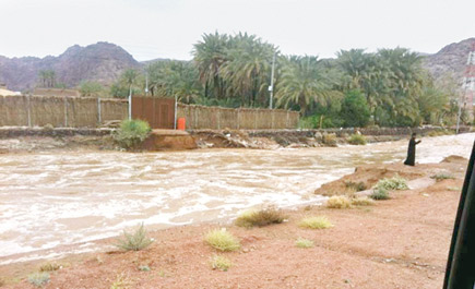 أمطار عسير تستنفر الأجهزة الأمنية وحالات الطوارئ بجميع المحافظات 