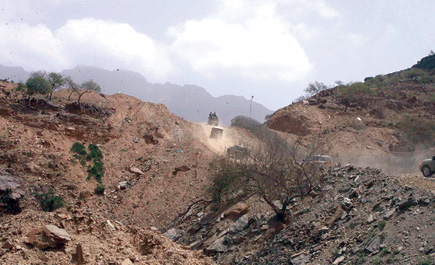 إحباط تهريب (4219) كيلو حشيش قيـمتها السوقية تقدر بـ(59) مليوناً