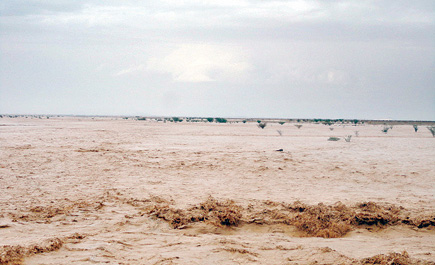 فيما كسرت السيول الكثبان الرملية غرب المحافظة 
