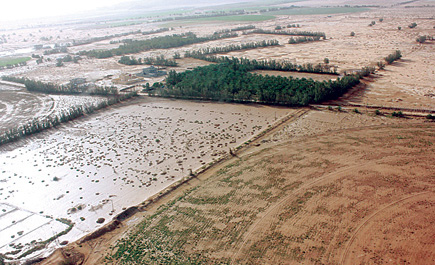 تعديات على بطون الأودية وكارثة محتملة