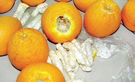 إحباط تهريب كبتاجون داخل حبات الليمون والبرتقال 
