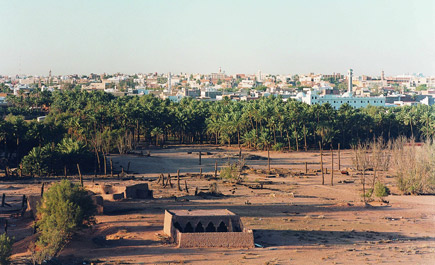 صور من البكيرية 