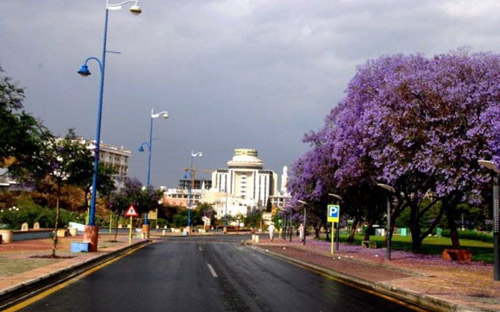 أمانة منطقة عسير تهيئ الحدائق لعيد الفطر المبارك 