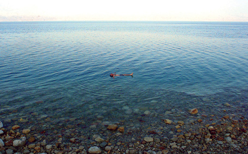 نجوم الكلمات 