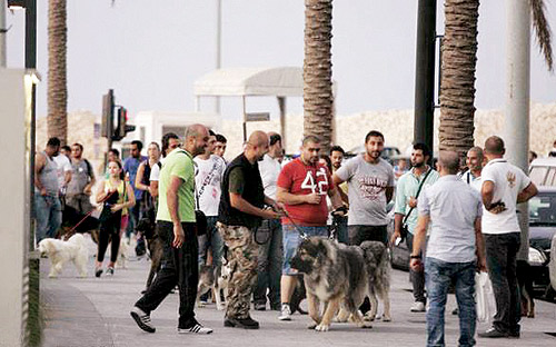 حتى الكلاب تستنكر في لبنان 
