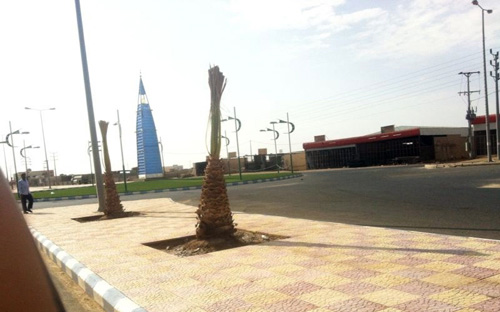 بلدية المويه تنهي تركيب ألفي عمود إنارة 