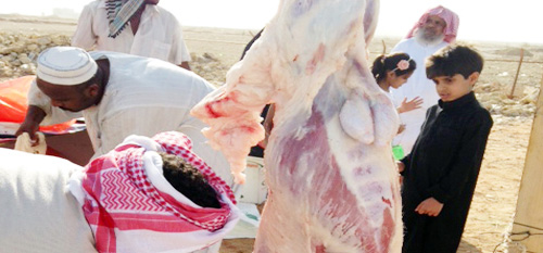 أسعار الأضاحي تتجازو ألفَيْ ريال في اليوم الأول لعيد الأضحى