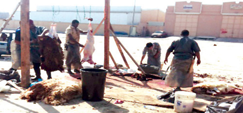 مواطنون يشتكون من مسالخ الشرقية .. والعمالة تستغل الوضع في إنشاء مواقع عشوائية للذبح