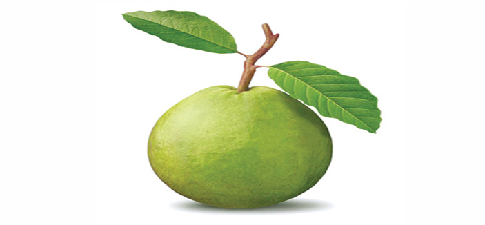 الجوافة تحمي الجسم من البرد وسرطان الرئة 