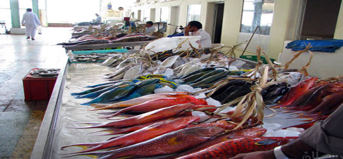 سعودة سوق السمك بينبع وإنشاء مكتب لمراقبة القرار 