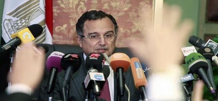 وزير الخارجية المصري: مصر تسعى لبناء منظومة ديمقراطية يشارك فيها الجميع 