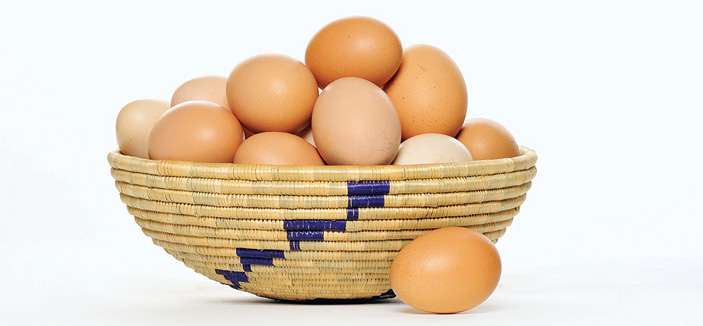 البيض يقوي خلايا المخ ويساعد على إنقاص الوزن 