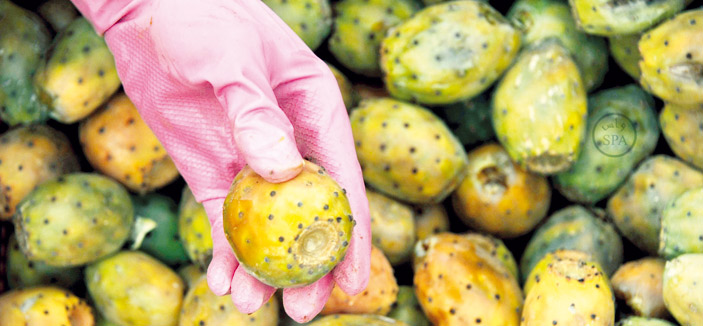 مزارع الباحة تنثر خيراتها في أسواق المنطقة 