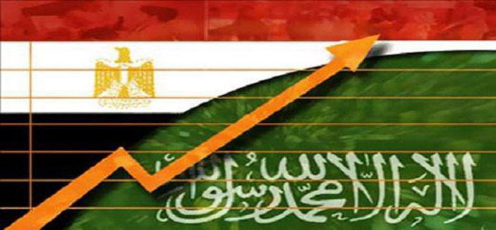 شركات سعودية تعرض الاستثمار في المركز اللوجستي بمصر 