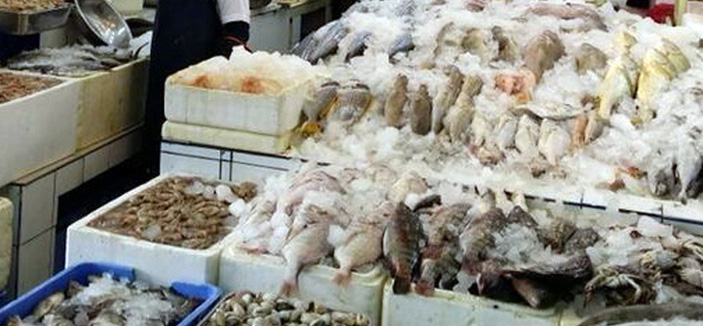 أمانة الأحساء تصادر وتتلف كميات من الأسماك الفاسدة 