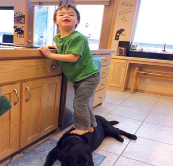 صور ابن سارة بيلن وهو يقف فوق ظهر كلب تثير غضباً 