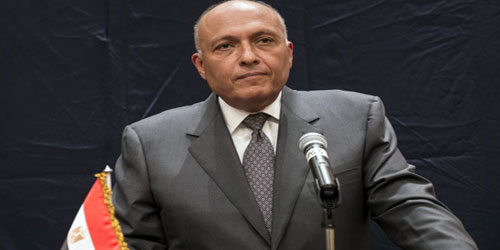 مصر تؤكد أن مساعيها لمحاربة الإرهاب في ليبيا لا تهمش الحل السياسي 