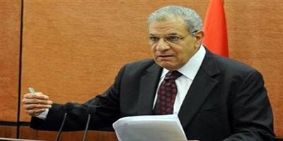 مصر تعلن تشكيل لجنة «وحدة إفريقيا» 