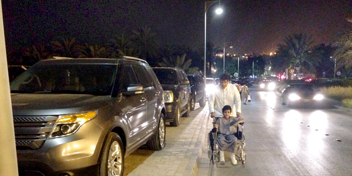  شاب يدفع بأخيه على عربة متحركة في الشارع في ظل وقوف السيارات على الرصيف