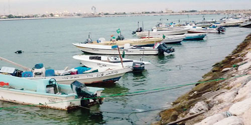 توقيف قوارب صيد ونزهة مخالفة وإنقاذ حالات غرق بالمنطقة الشرقية 