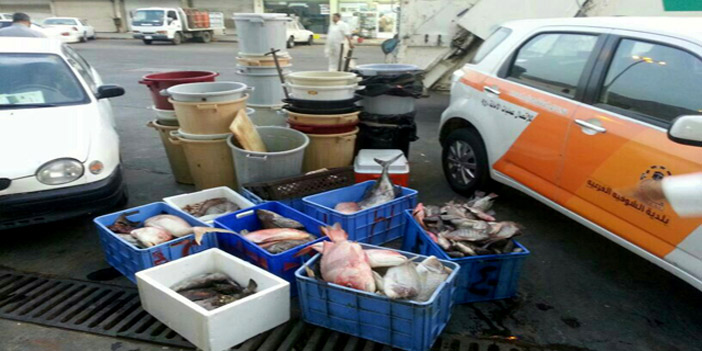  مصادرة أسماك غير صالحة للاستهلاك الأدامي
