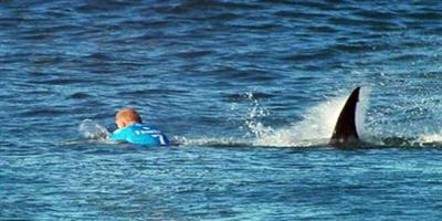 راكب أمواج يصارع قرشاً على الساحل الشرقي لأستراليا 