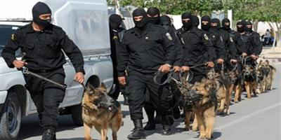 تونس تعلن تفكيك «خلية إرهابية» خططت لتنفيذ هجمات 