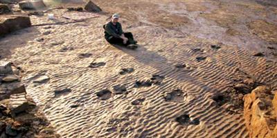 علماء يعثرون على آثار نادرة لأقدام ديناصور 