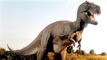 ملك الهراوات: قصة مثيرة عن ذيل الديناصور «الدبابة» 