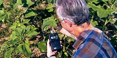 علماء يستخلصون من النبات عنصراً لصناعة الهواتف الذكية 