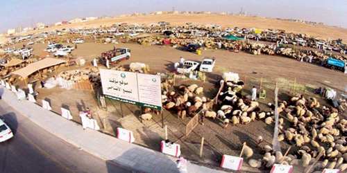 أمانة منطقة الرياض تبدأ في إزالة وتطهير مواقع البيع المؤقت للأضاحي 