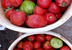 بلدية وادي الدواسر تصادر 172 عبوة طماطم 