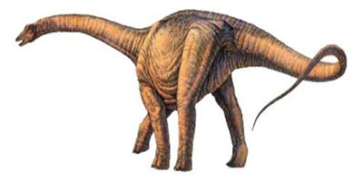 الديناصورات الضخمة طويلة العنق كان لها صغار قوية 