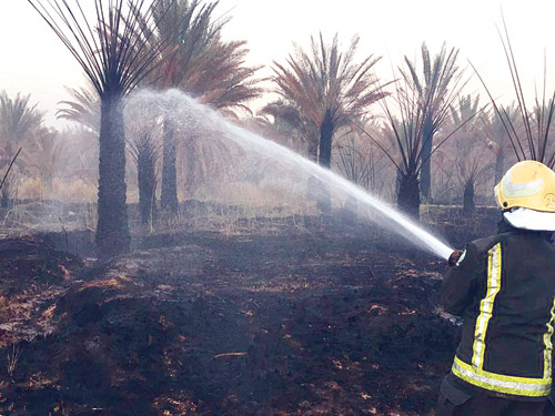 ثلاث مزارع في تبوك تتعرض لحرائق خلال يومين 