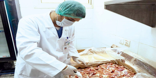 «الغذاء والدواء» تضبط 1300 كيلوغرام من اللحوم والخضروات الفاسدة في 3 مطابخ لإعاشة الحجاج 