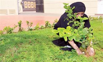 جامعة عفت تحتفل بالبيئة في يوم المنتدى السعودي للأبنية الخضراء 
