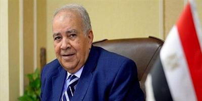 الحكومة المصرية تنهي تعديل قانون التظاهر 