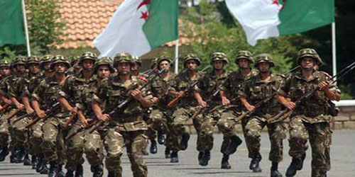 الجيش الجزائري يدمر مخبأين لإرهابيين في ولاية جيجل 
