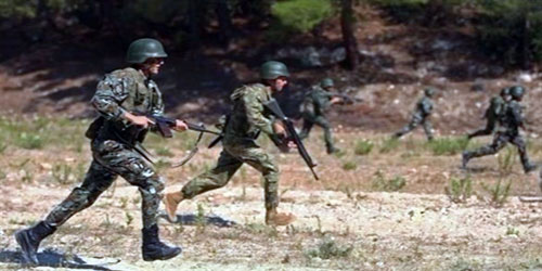 الجيش الجزائري يدمر 6 مخابئ لإرهابيين شرقي البلاد 