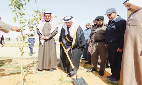  المحافظ ومدير الزراعة يغرسان الشجرة الأولى