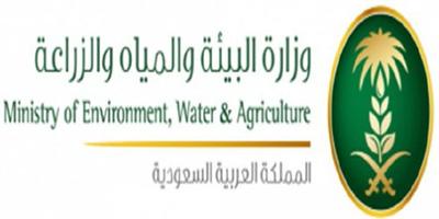 «البيئة» تبدأ مشروع دراسة تكاليف إنتاج المياه 