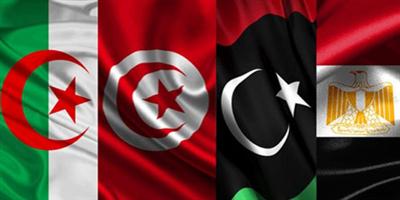 اجتماع مصري جزائري تونسي بالجزائر لبحث تطورات الأزمة الليبية 