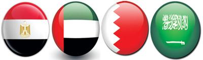علماء: ندعم قرار السعودية ومصر والإمارات والبحرين بشأن الشخصيات والكيانات الإرهابية في قطر 