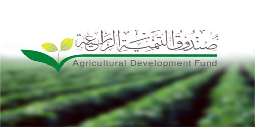 «التنمية الزراعية» يبدأ تمويل العيادات والصيدليات البيطرية 