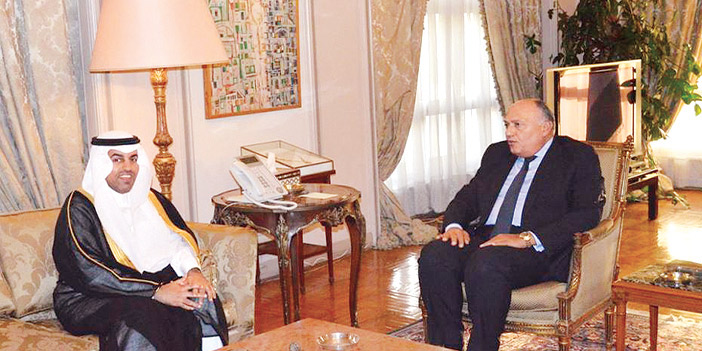  رئيس البرلمان العربي خلال لقائه وزير الخارجية المصري في القاهرة