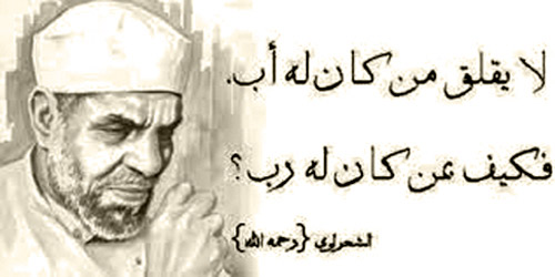  الشيخ الشعراوي