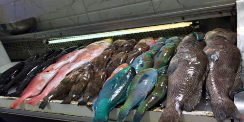 الخبر: إلزام محال بيع الأسماك ببيان الأنواع والأسعار 